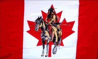 Canadian Indian Horse Flag Canada Banner Pennant New Indoor Outdoor 