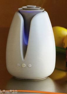 Rainbow LED Ultrasonic Aroma Air Diffuser Purifier Mist+10ml Essential 