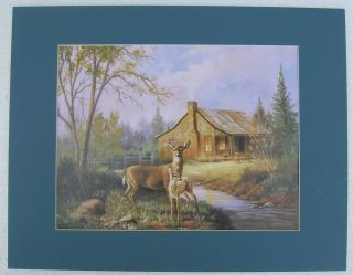 Deer Pictures Antlers Bucks Matted Country Picture Print Interior Home 