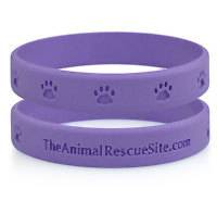 Animal Rescue Charity Wrist band PAWS Purple New cute