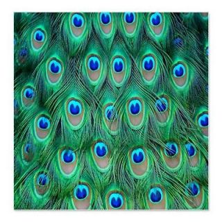 peacock shower curtain in Shower Curtains