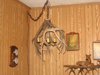 Antler Hanging Lamp,antlers,rustic,northwoods,primitive,lighting 