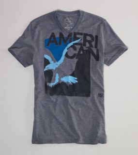 NWT AMERICAN EAGLE OUTFITTERS SIGNATURE GRAPHIC T SHIRT MENS REG SIZES 