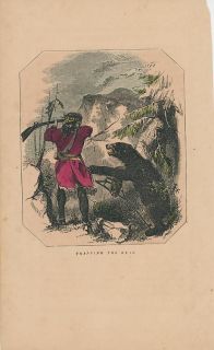   Bear in American wilderness c.1850 original antique color print