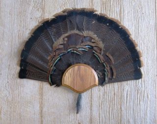 Solid Medium Oak Turkey Fan / Beard Mounting Kit  01