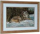 Nancy Glazier BRIAR PATCH Signed & Numbered w/coa Framed Lynx Cat Art 