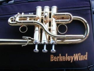 Beautiful Berkeley 1Pece bell Eb&D Trumpet Piccolo Horn