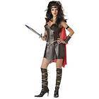 xena costume in Clothing, 