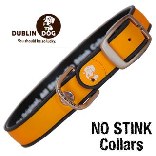Dublin Dog NO STINK Dog Collars  WATERPROOF COLLAR  Simply Solid 