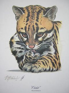 Guy Coheleach Ocelot Jungle Cat LTD ED Print SIGNED