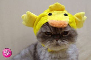 Chicken Pet Hat for Cat and Dog] Costume / Cap / Halloween / Chick 