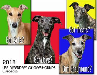   USA Defenders of Greyhounds Wall Calendar, Greyhound Charity Auction