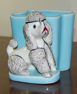   White & Grey Poodle by a turquoise/blue ceramic wall or table planter