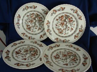 Myott, Staffordshire, China Dinnerware Dynasty 4 Dinner Plate