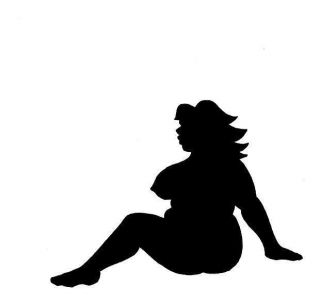 NEW Screen Printed TShirt Chubby Mudflap Girl Any Color Size S 3XL 