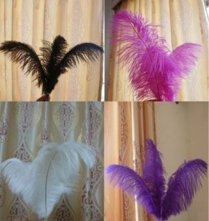 New  100 Pcs pure ostrich feathers colors 10 12 inch / 25 30 cm