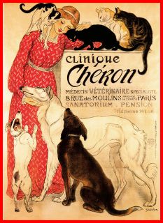 Clinique Cheron Veterinary French METAL Poster Retro Vintage Sign 
