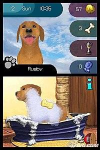 Paws Claws Best Friends   Dogs Cats Nintendo DS, 2007