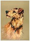 ARTHUR WARDLE Antique Early 1900s Dog Print AIREDALE TERRIER, AVM Co 