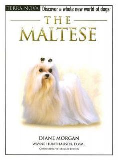 The Maltese by Diane Morgan (2006, Hardcover / Mixed Media)