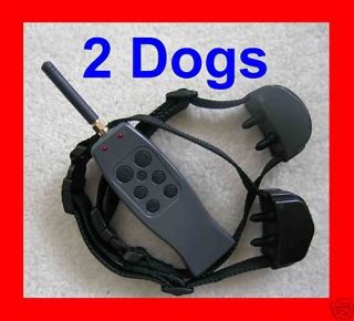 small dog training collar in Shock Collars