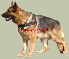 Tracking Walking Dog Harness H5 for German Shepherd