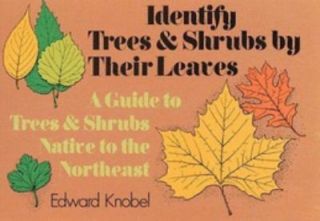   and Shrubs by Their Leaves by Edward Knobel 1972, Paperback
