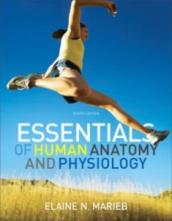 Essentials of Human Anatomy Physiology by Elaine N. Marieb and Elaine 