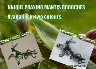 Black Crystal Enamel Praying Mantis Insect Pin Brooch