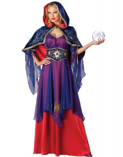   Fortune Teller Deluxe Mystical Sorceress Fancy Dress Costume S XL