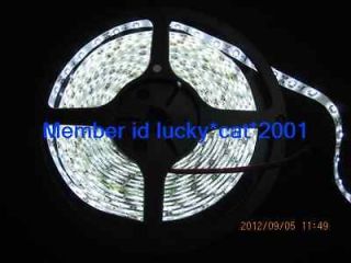 5M 3528 White Waterproof SMD LED Strip 300 LEDS 60LED/meter