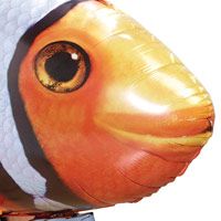 Air Swimmers eXtreme Radio Control Giant Flying Clownfish   Toys R Us 