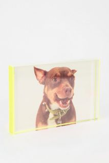 Neon Lucite Frame   Urban Outfitters