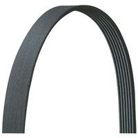 Duralast/Belt (835K6)  AutoZone 