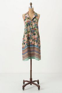 Henga Shirtdress   Anthropologie