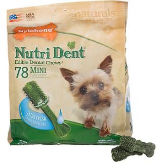 Nylabone Nutri Dent Extra Fresh Edible Dental Chew for Dogs at  