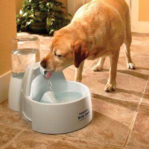 Drinkwell Big Dog Pet Fountain Replacement Filter Cartridges 