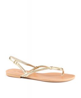 Gold (Gold) Wide Fit Gold Metallic PU Thong Sandals  244952393  New 