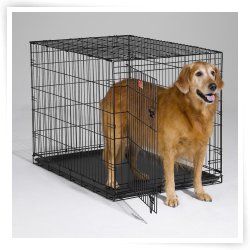 Midwest iCrate Folding Single Door Dog Crate