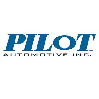 Buy Pilot Accent Strip CZ 4023 at Advance Auto Parts