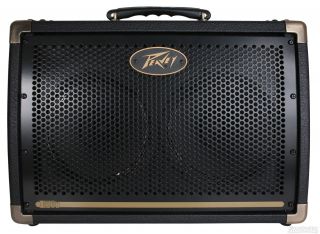 Peavey Ecoustic E208 Acoustic Amp (30 Watts)  Sweetwater