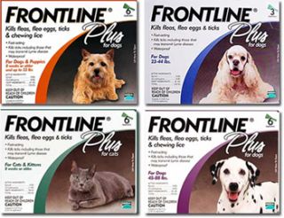 Cheap Frontline Plus at Pet Pharmacy PetMeds
