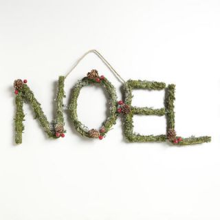 Dried Moss and Berry Noel Wall Décor  World Market