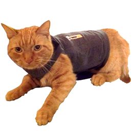 Compare Acepromazine to Thundershirt