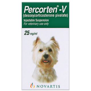 Percorten V for Dogs   Canine Addisons Treatment   1800PetMeds