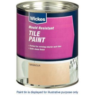 Tile Paint Stoneware 750ml   Bathroom Paint   Paint  Decorating 