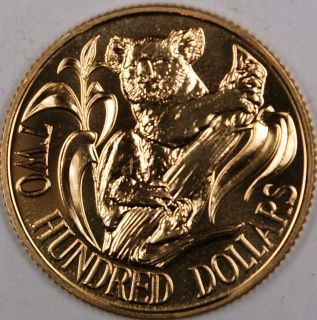 gold coin koala