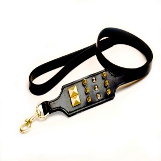 48 Brass Studded Leather Dog Leash at Brookstone—Buy Now