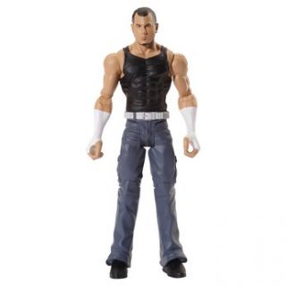 WWE Flexforce Action Figure   Matt Hardy   Toys R Us   Action Figures 