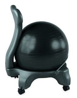 Zoom View   Balance Ball Chair
